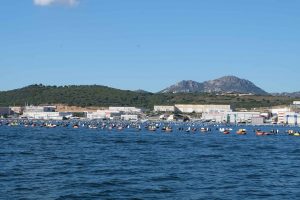 Olbia, musselodling?